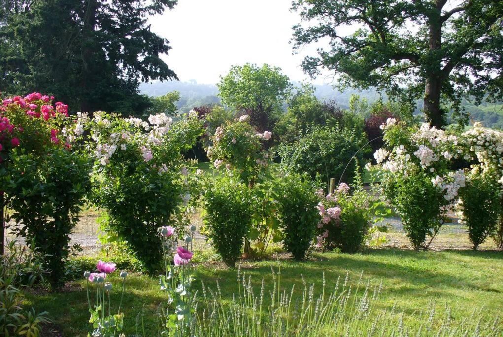 La Maison Des Roses